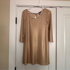 Express Champagne Dress